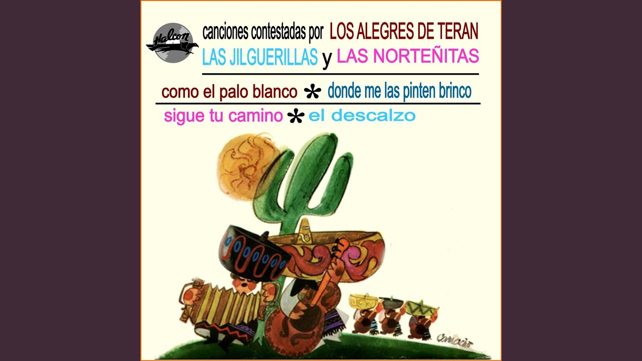 Sigue Tu Camino