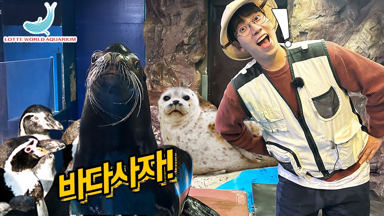 바다사자와 물범을 만났다! 롯데월드 아쿠아리움을 가다~