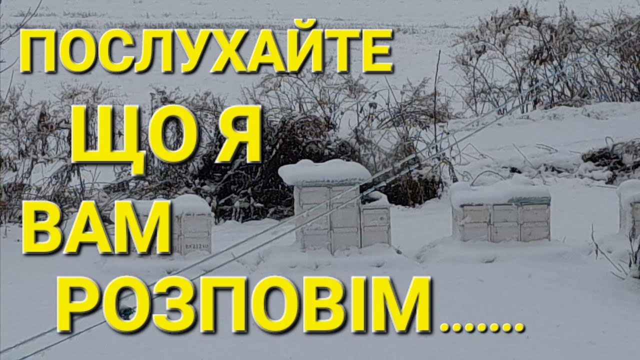Крик душі бджоляра з досвідом в півстоліття! #пчеловодствов6тирамочныхульях