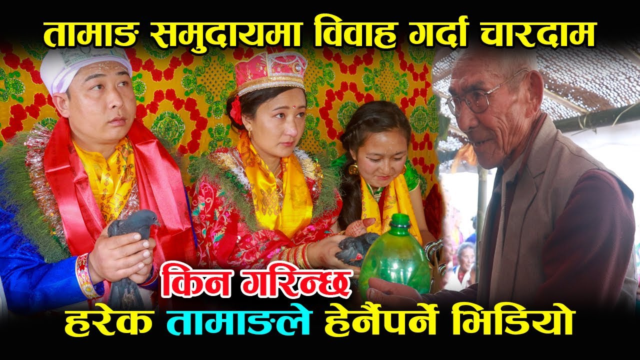 तामाङ समुदायमा चारदाम विधि के हो र कसरी गरिन्छ।Sujan yonjan Buddhi mayan ghising।हेर्नैपर्ने भिडियो