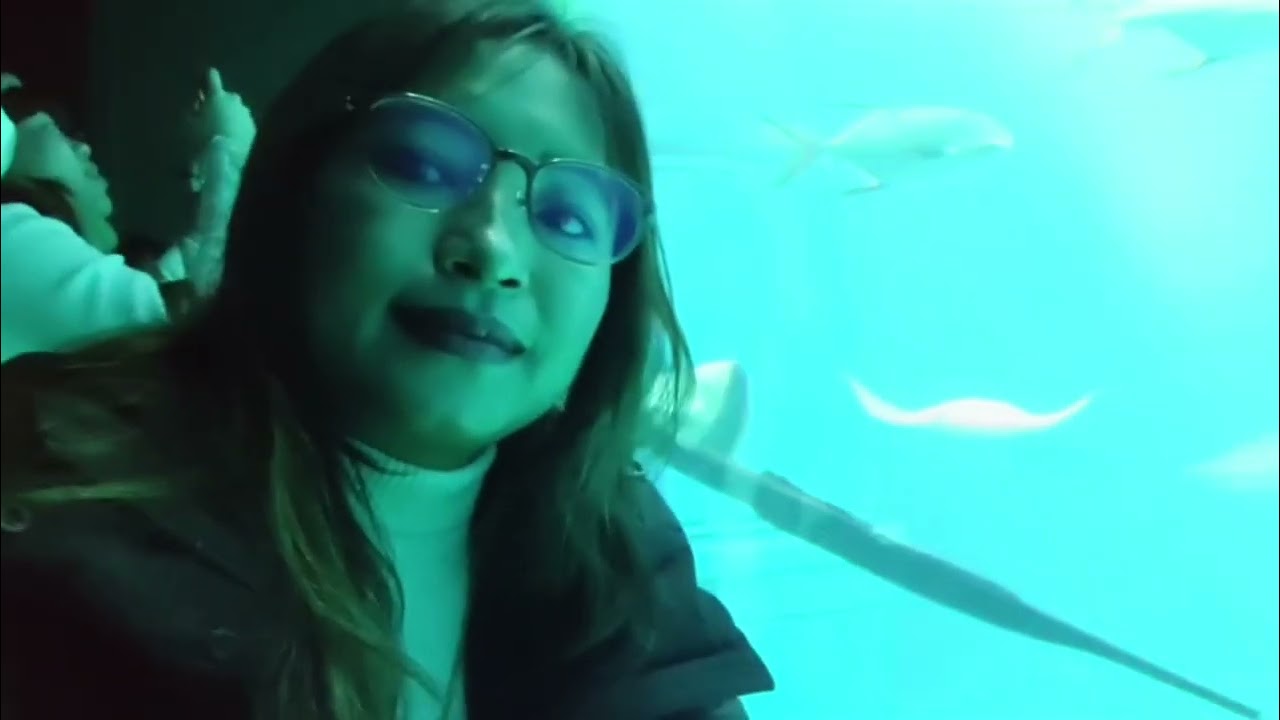 Exploring One of the World’s Largest Aquarium! | Osaka Aquarium Kaiyukan 🦈 🇯🇵 