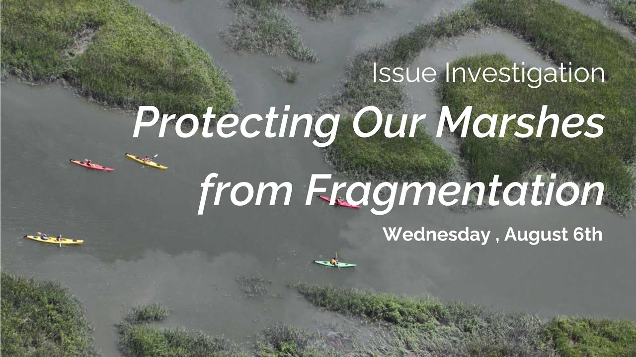 Issue Investigation: Protecting our Marshes from Fragmentation