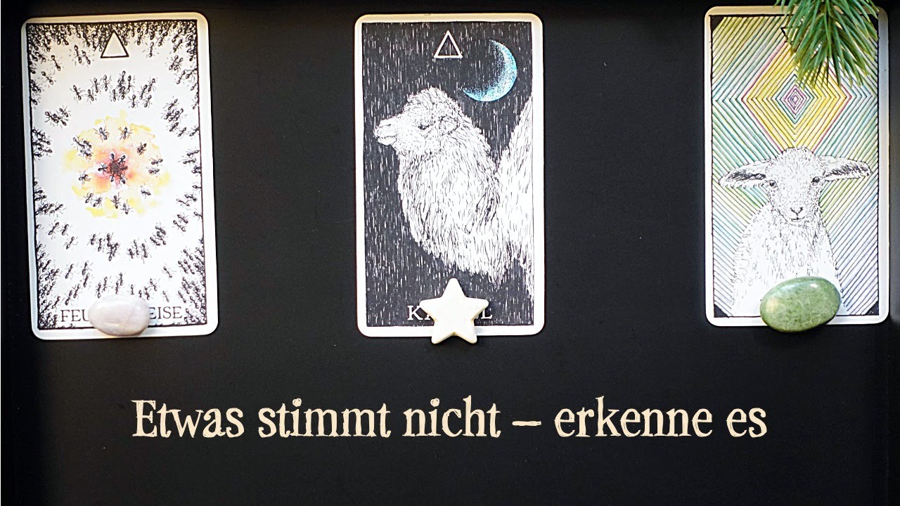 Wenn dein Körper Nein sagt – Wahrheit erkennen & eigene Autorität stärken