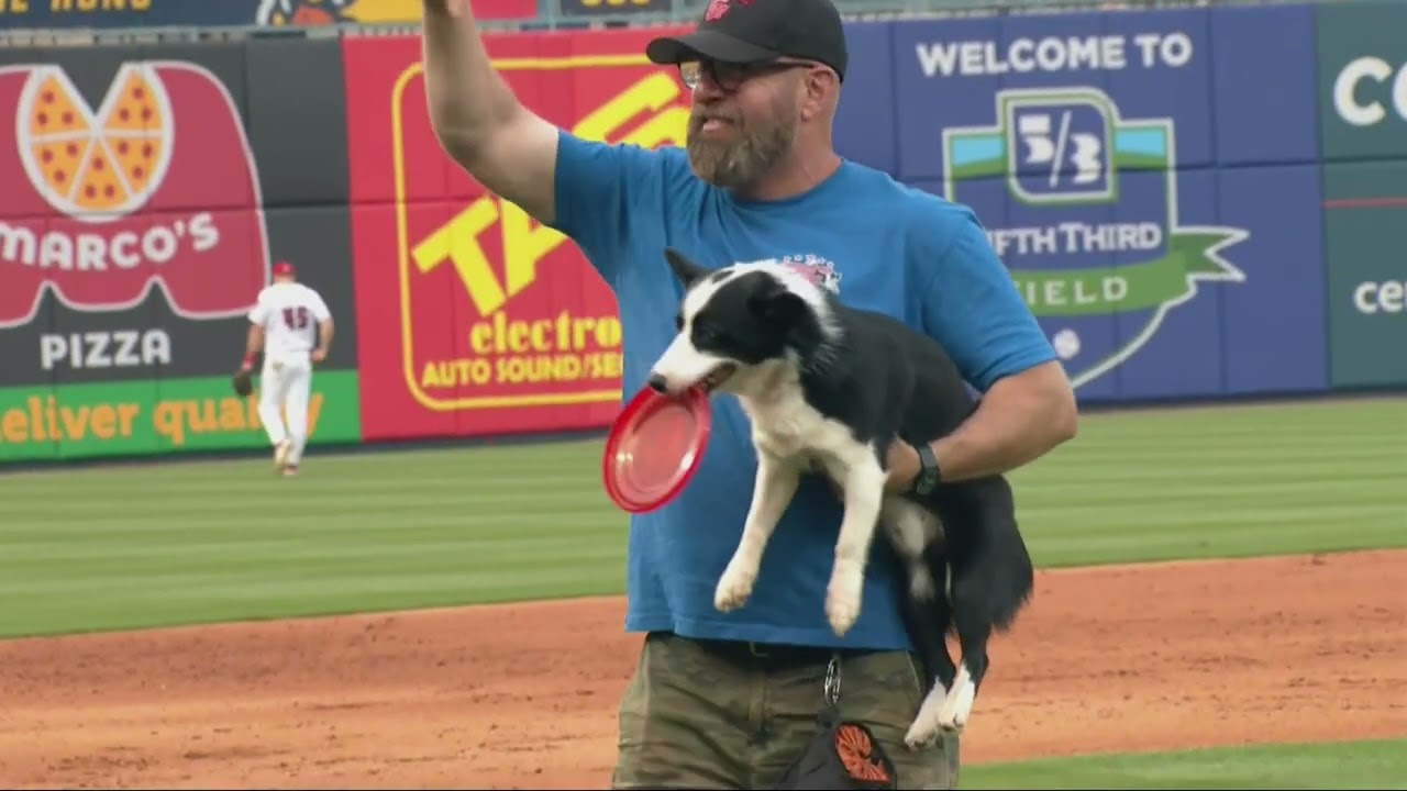 Performance Dogs of Ohio - Toledo Mud Hens Baseball Game - Frisbee Disc Dog 6-10-25 Canine Show