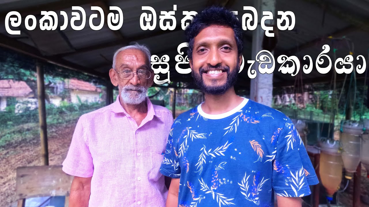 අවුරුදු 15ක් ඔස්කා මාළු බෝකරන ප්‍රේමදාස මහත්තයා | One of the Best Oscar Breeders in Sri Lanka 🇱🇰