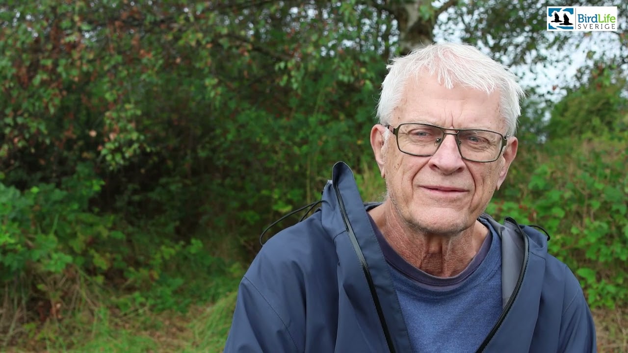 Fokus på ideella: Thomas Holmberg