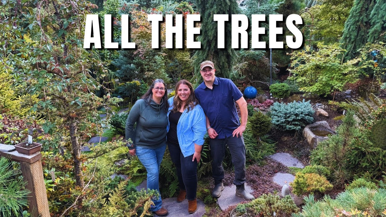 All The Trees! You Wont Believe How They Transformed This Suburban Garden Into A Collectors Dream! 🌿