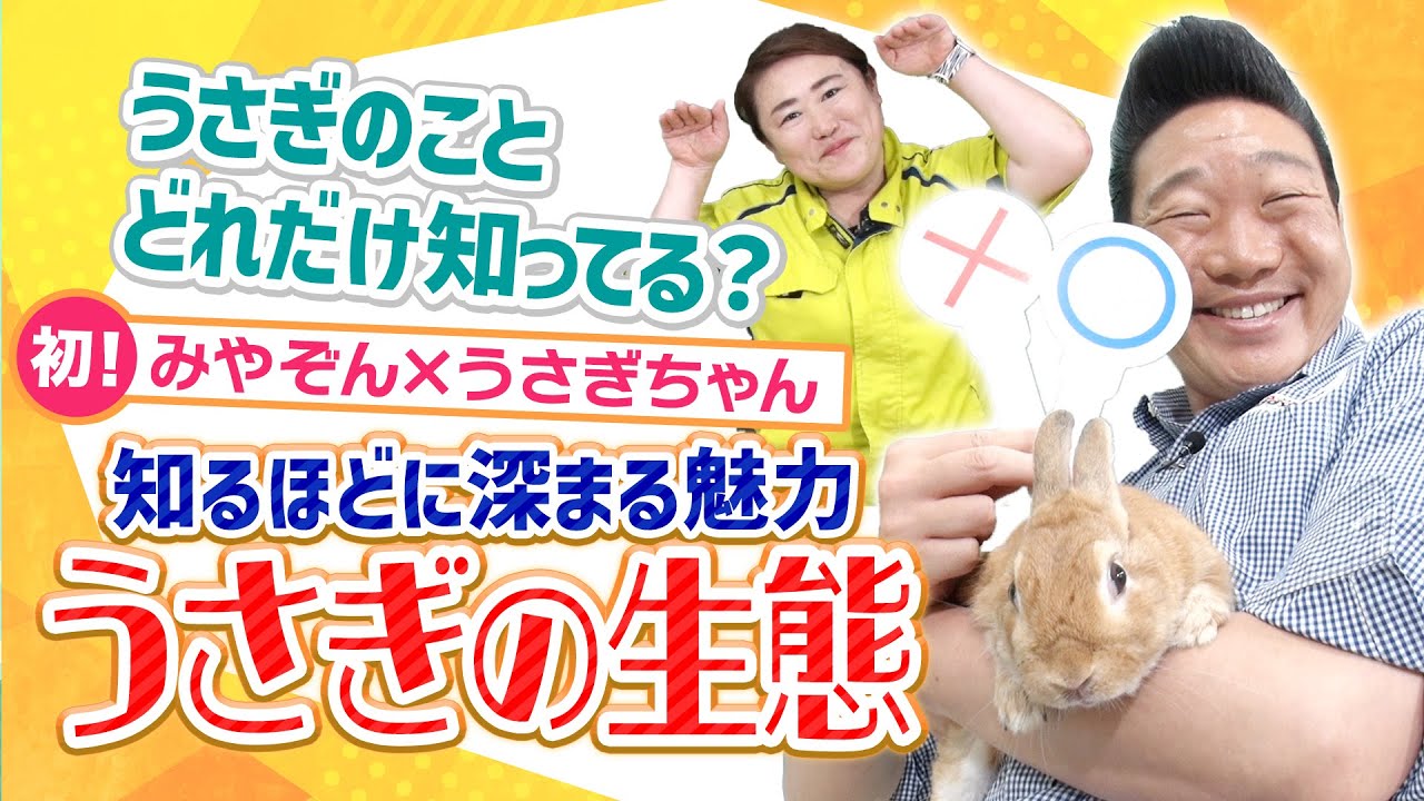 【ドギーマン&times;みやぞん】うさぎの世界へようこそ🐰うさぎの魅力にハマる！深掘り生態情報🐰📖