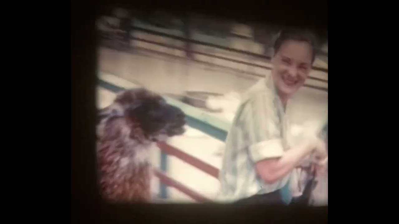 circa 1958 Toledo Zoo Clip - Ohio OH 8mm Film 