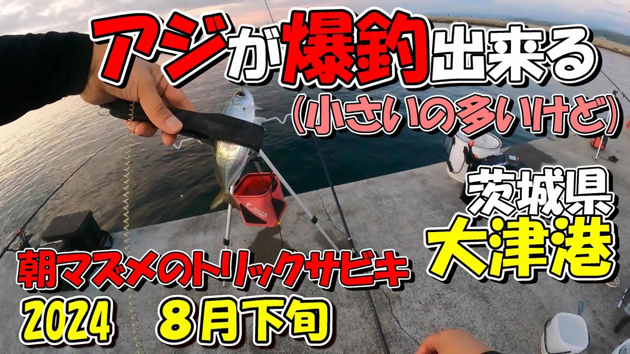 茨城県大津港　アジが爆釣(小さいけど)　8月下旬　2024