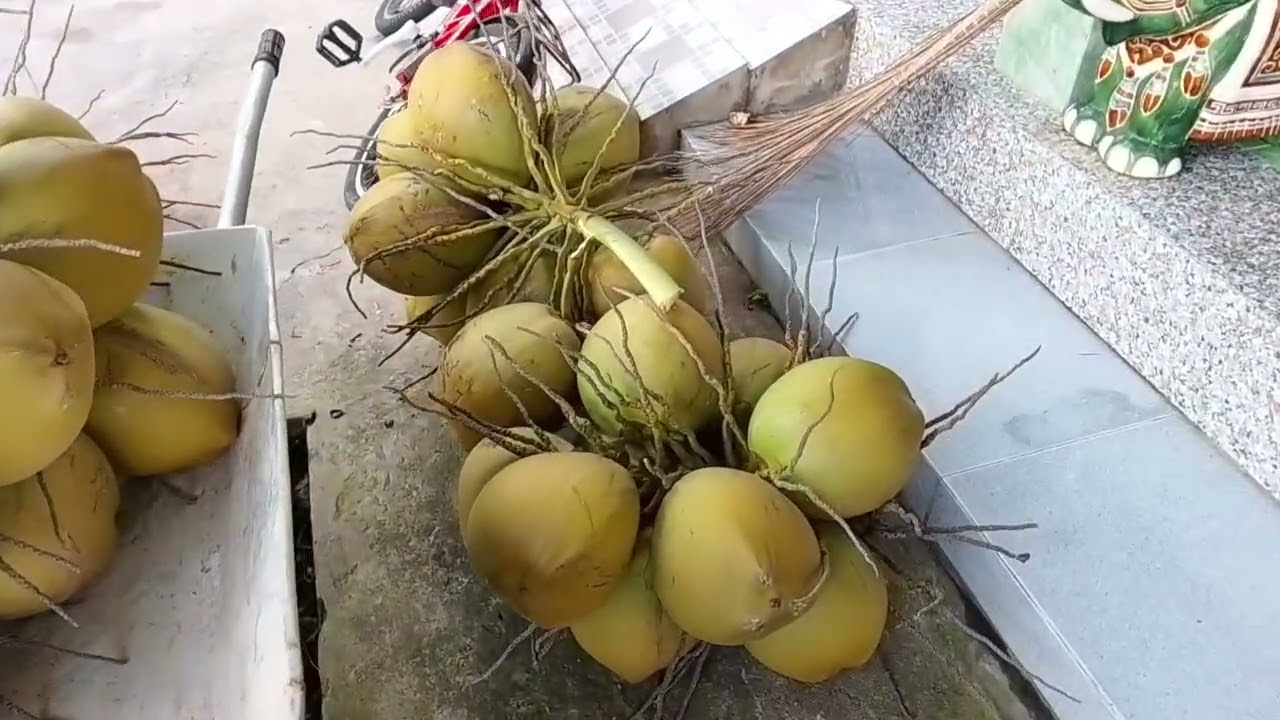 @Mời các bạn uống nước d🥰🥰🥰🥰🥰🥰🥰🥰....Xem thêm#dibi#