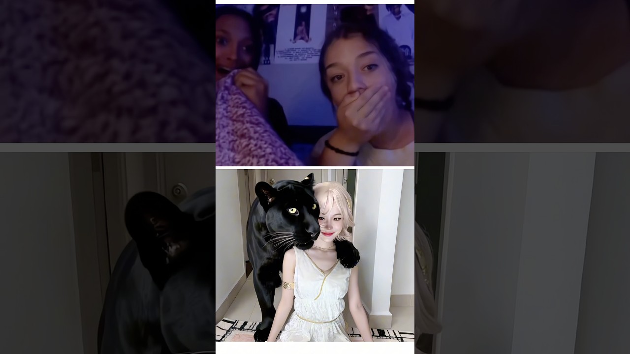 What kind of Cat is that? | CHANG DORY | omegle