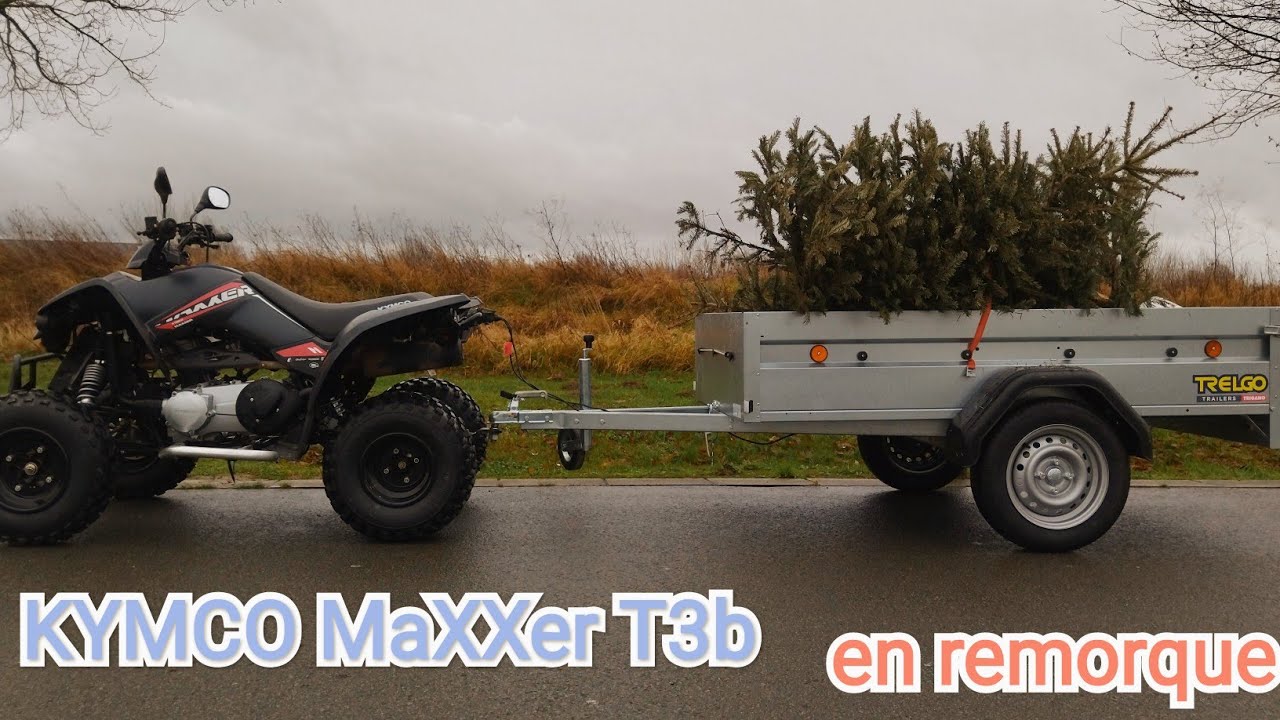 KYMCO : 300 Maxxer  