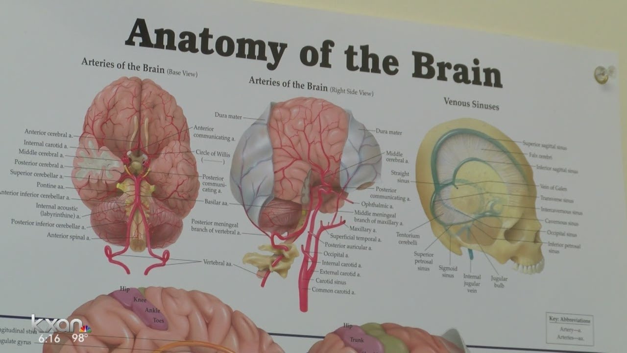 Sen. McCain's death draws attention to brain cancer research