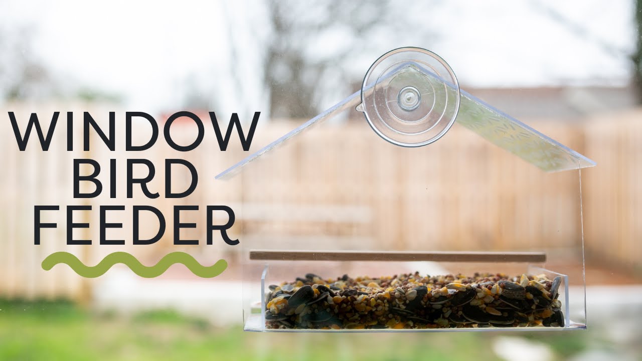 How to Make A Bird Feeder With Acrylic Sheets | DIY Window Bird Feeder