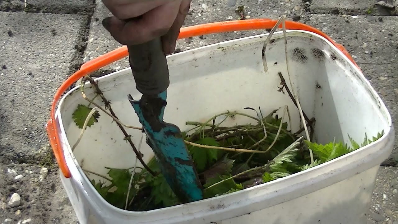 Brandnetel gier maken en update rozemarijn stekjes, Seizoen 4 2021 Deel 101