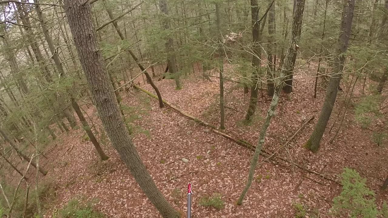 Shooting My First Buck With My Mathews Creed XS