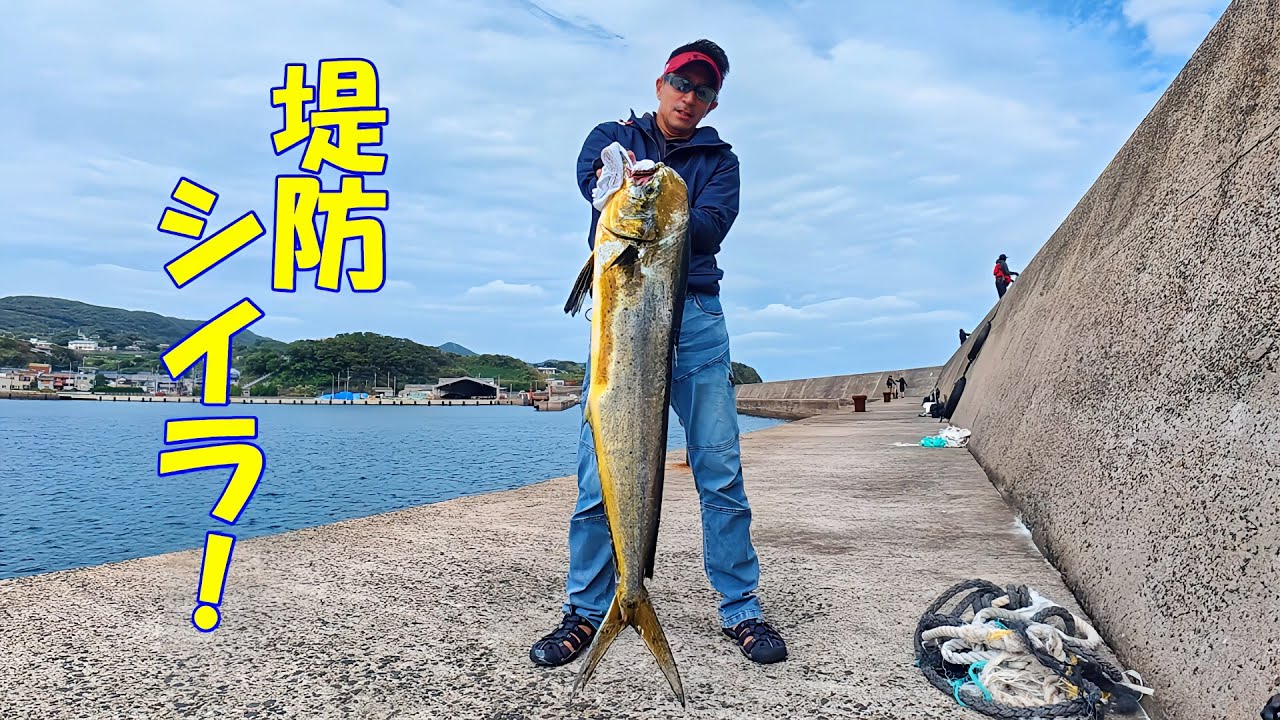 【堤防シイラ】今年も豊漁でした。感謝！ 2024#9