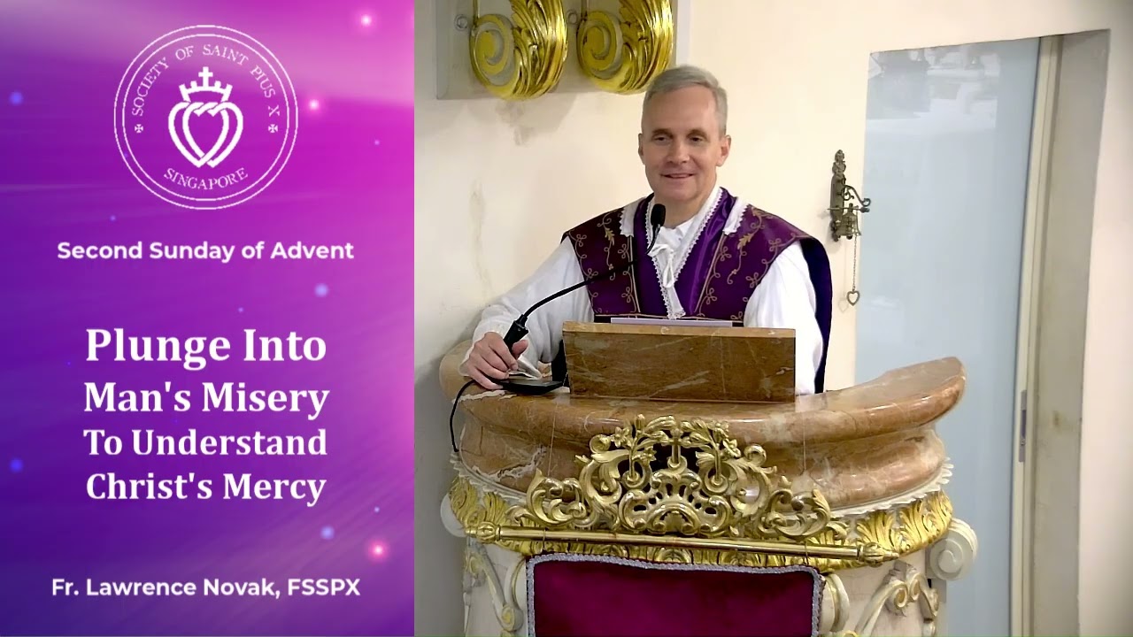 Plunge Into Man's Misery To Understand Christ's Mercy - Sermon by Fr Novak (7 Dec 2025)