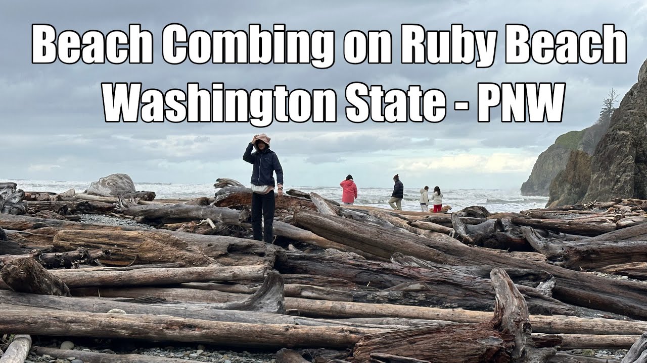 Beach Combing at Ruby Beach in Jefferson County, Washington
