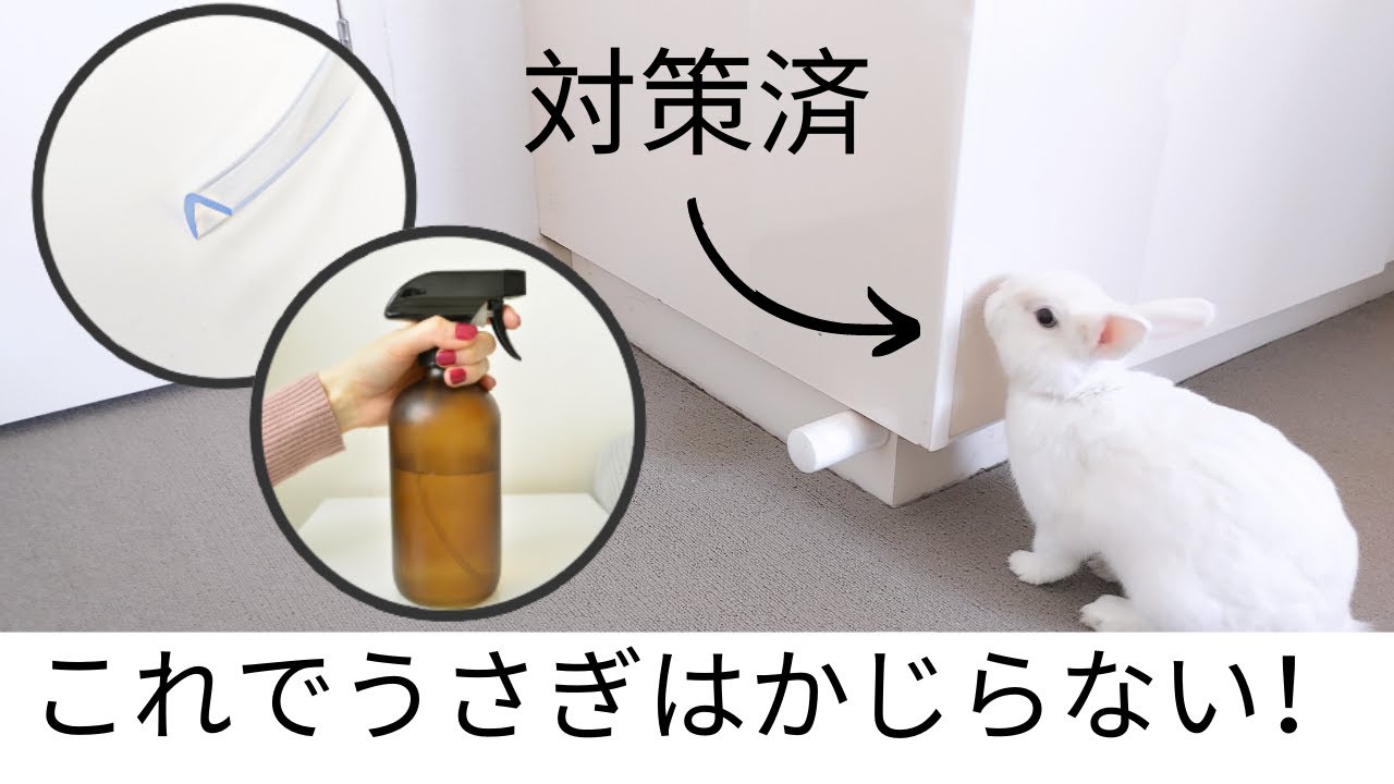 うさぎのかじり対策　誤飲防止　バニープルーフ　（部屋んぽや放し飼いで）