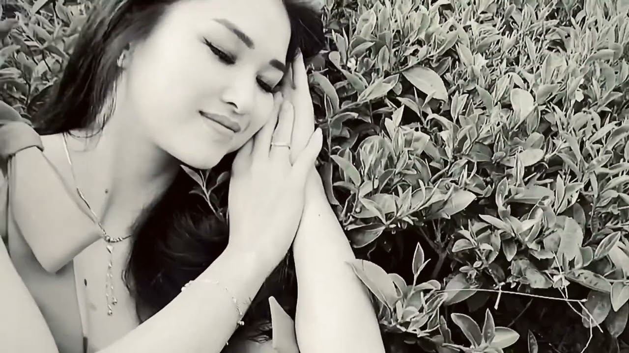 Cho Tôi Xin Lại Nụ Cười (sáng tác :Hồ Xuân Khoa)trình bày: Lê Phương Guitar