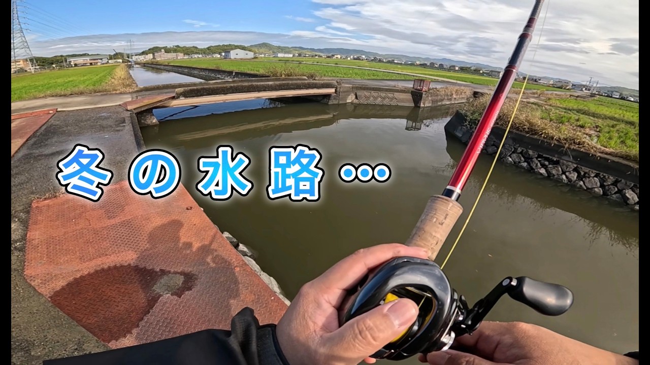 【ナマズ釣り】冬の水路…ナマズ調査！最悪の状況でもナマズは釣れるか？ダメ元チャレンジ釣行！