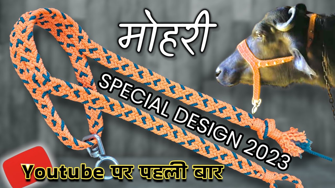 बुनाई करके मोहरी बनाए | पट्टे की मोहरी बनाए | making the weaving halter | बगैर गठान की मोहरी बनाए