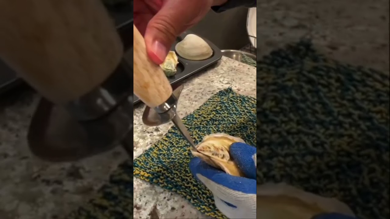 Easy Oyster and Clam Prep Raw or Cooked
