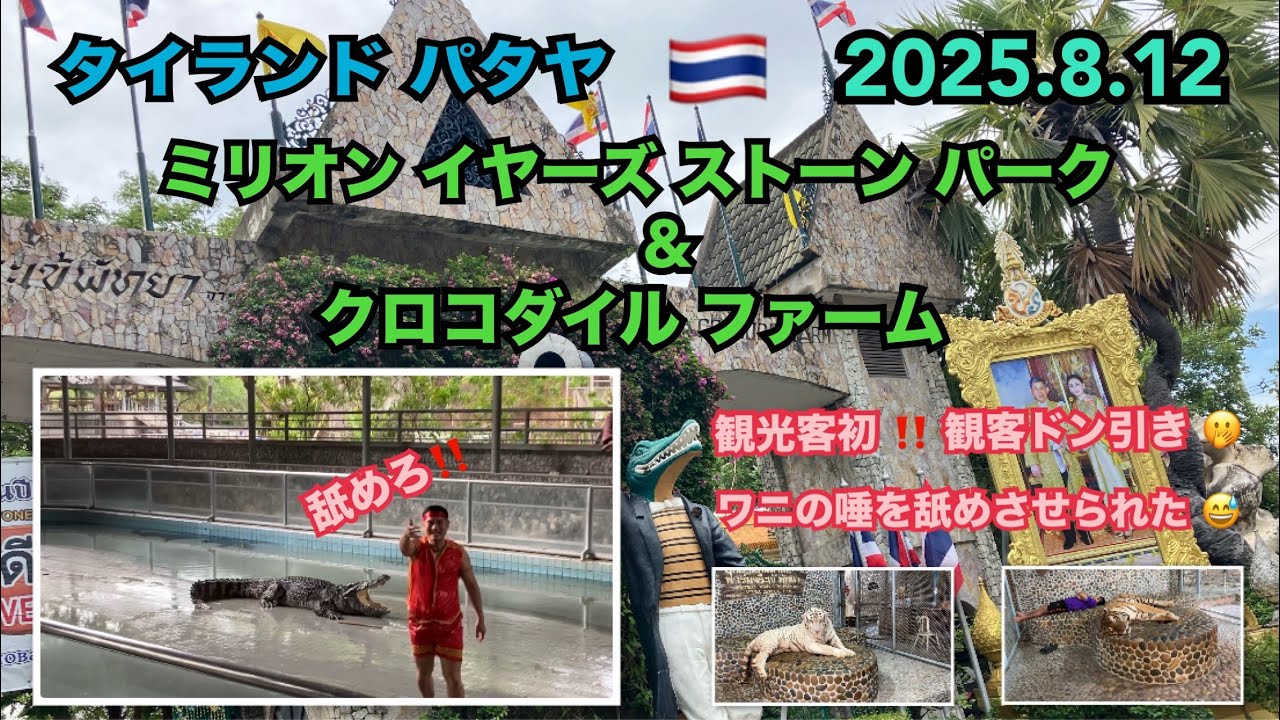 2025.8.12 🇹🇭 #タイ #パタヤ #動物園 #ホワイトタイガー #ライオン #ゾウ #クロコダイル #ワニ #キリン #馬 #鳥 #thailand #pattaya #zoo
