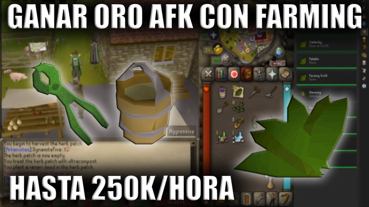 Cómo ganar hasta 250k de oro por hora AFK con Farming - OldSchool Runescape