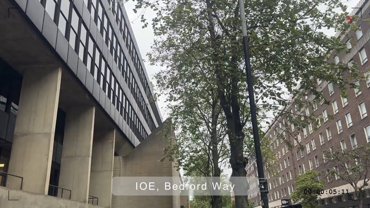 Bandhukavi's Postgraduate Life: A Quick and Tragic Second Week Thursday at UCL Anthropology