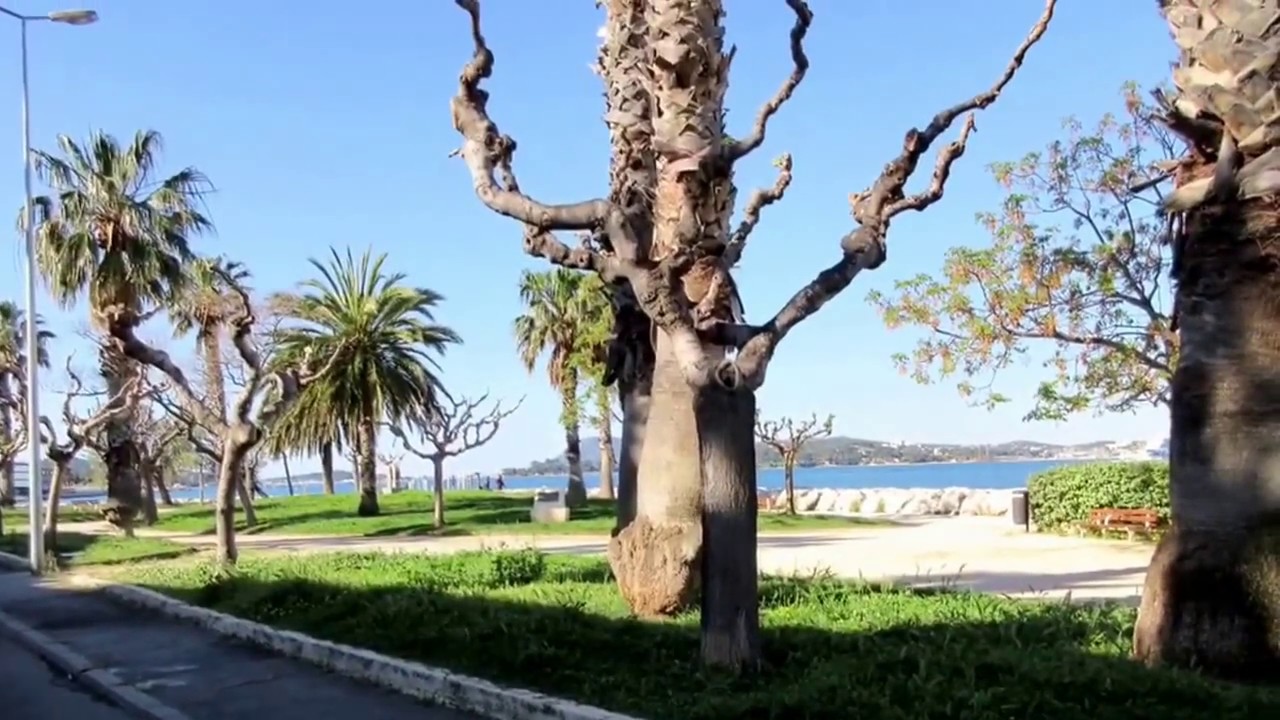 Majestic Princess Toulon (Provence) - Le Petit Train, Cafes, & Provençal Market - April 2017