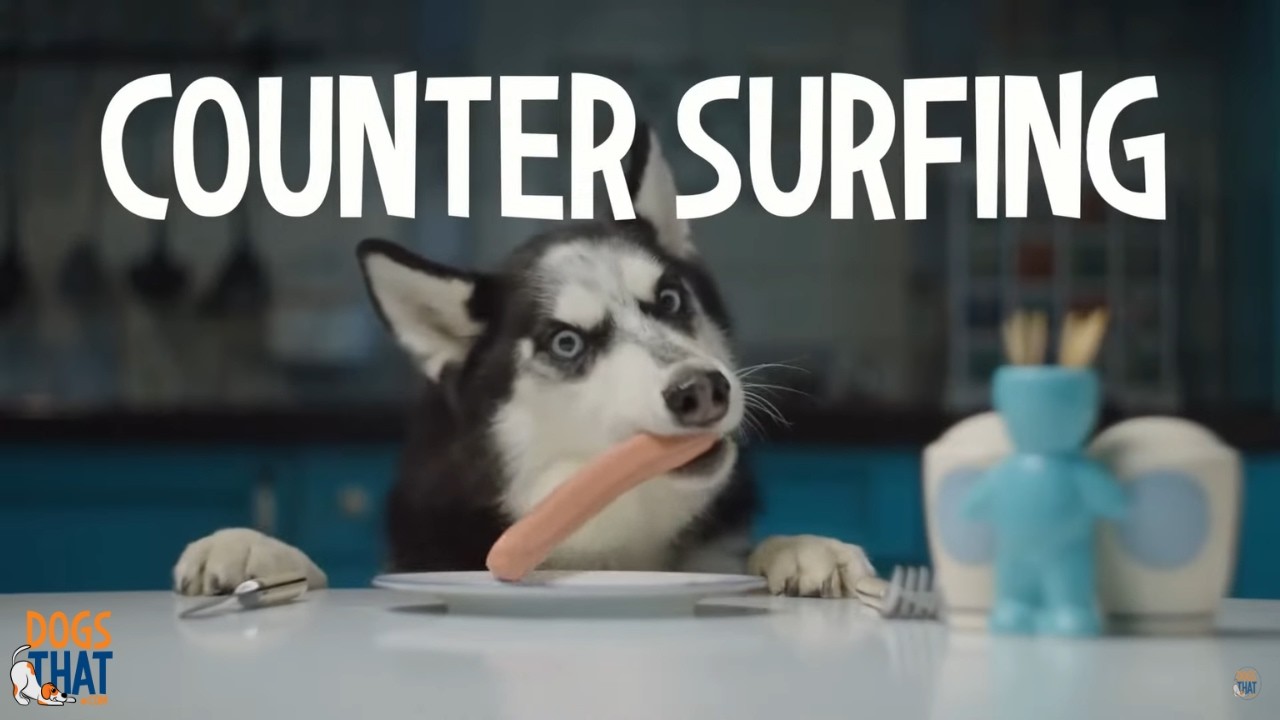 How To Stop Counter Surfing With A Simple 3-Step Formula