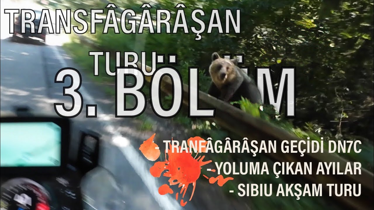 VLOG | TRANSFÂGÂRÂŞAN TURU 3. BÖLÜM | Transfagaraşan DN7C - Ayılar 🐻 - Sibiu