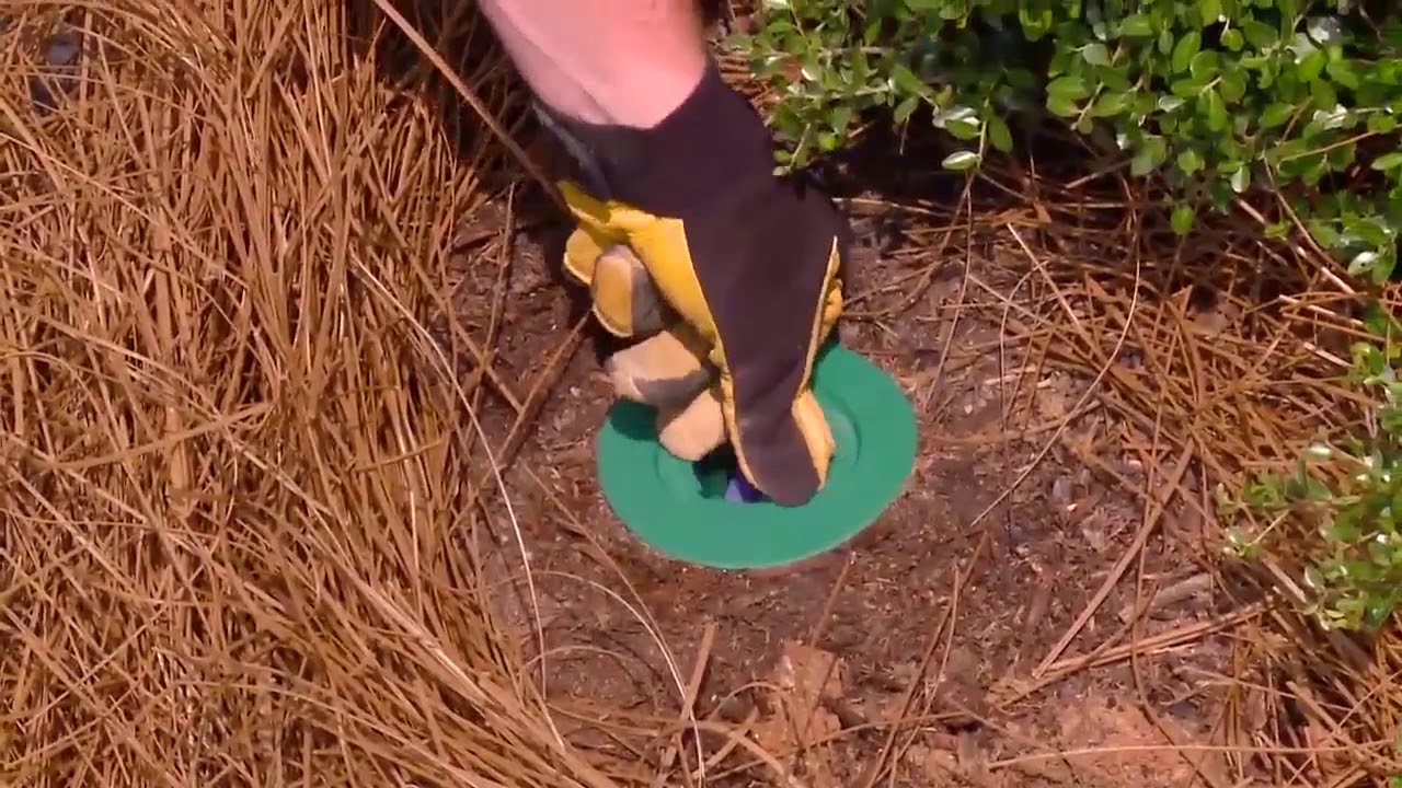 Sentricon Bait Stations