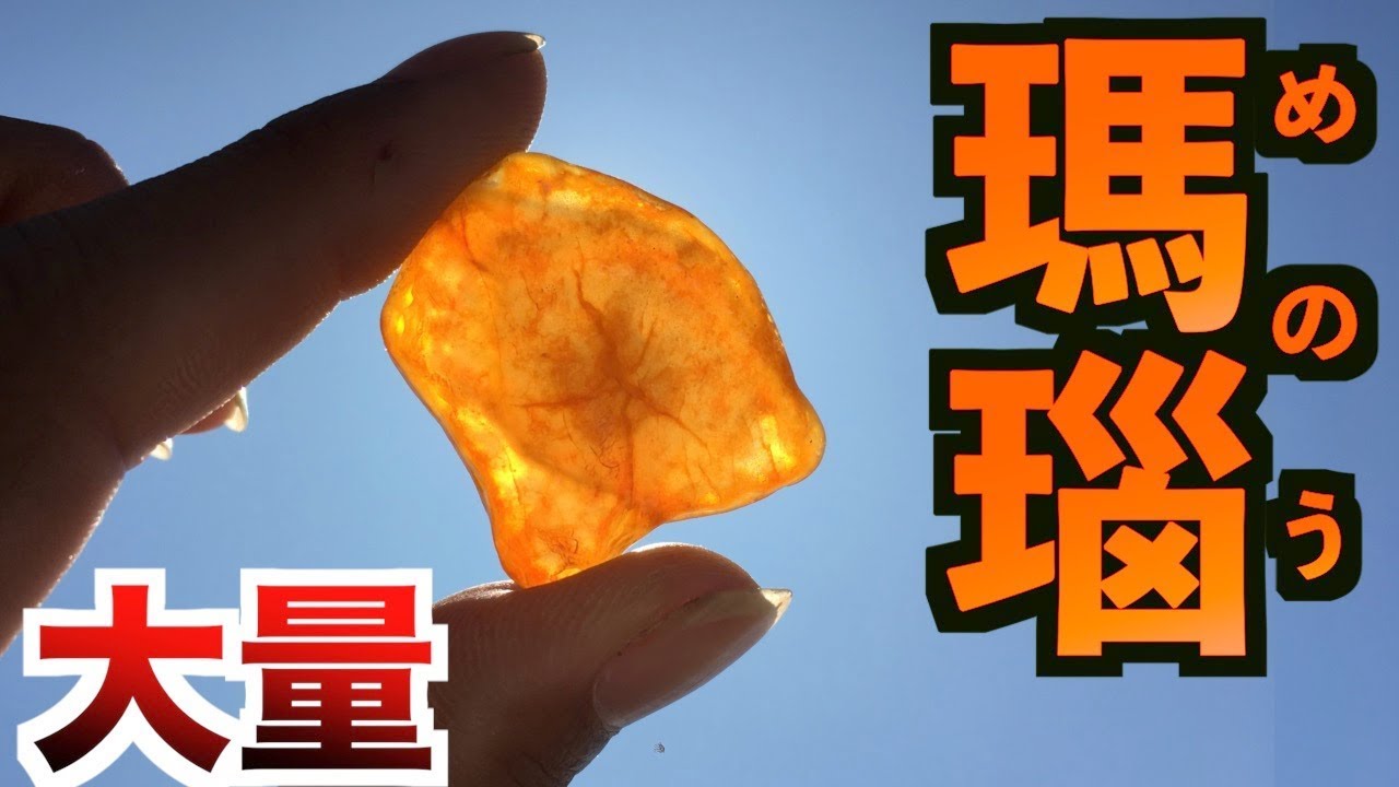 【量も質もMAX】過去最大数の瑪瑙が出るビーチでお宝探し！【宝石探し】