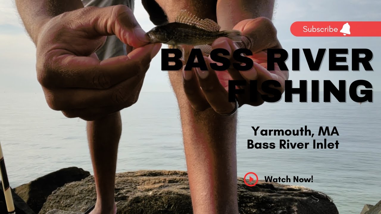 Bass River Fishing - Yarmouth, MA - Ocean Fishing On The Bass River Inlet