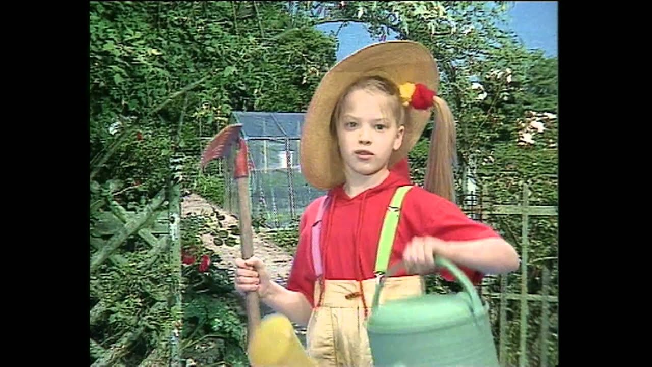 Kwiatki bratki - CHOCHLIKI