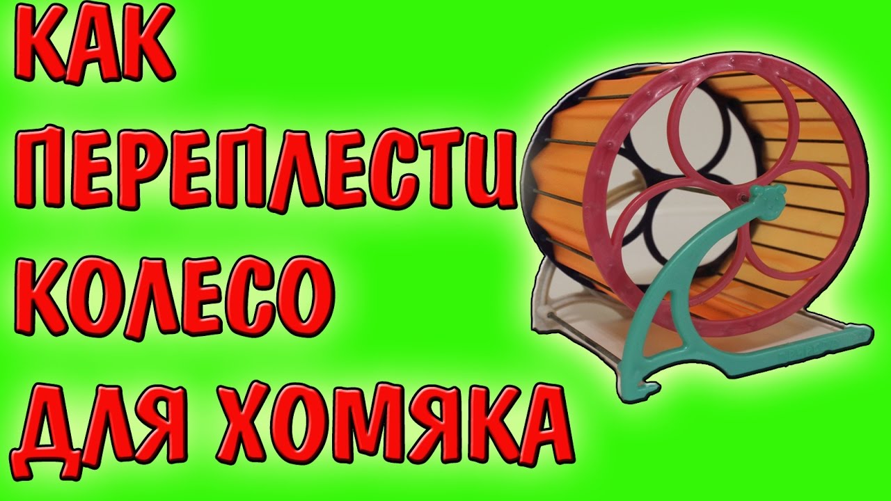 КАК ПЕРЕПЛЕСТИ КОЛЕСО ДЛЯ ХОМЯКА // ОПЛЕТАЕМ КОЛЕСИКО ДЛЯ ХОМЯКА / #ХОМЯК / #ХОМКИ / #ХОМЯКИ
