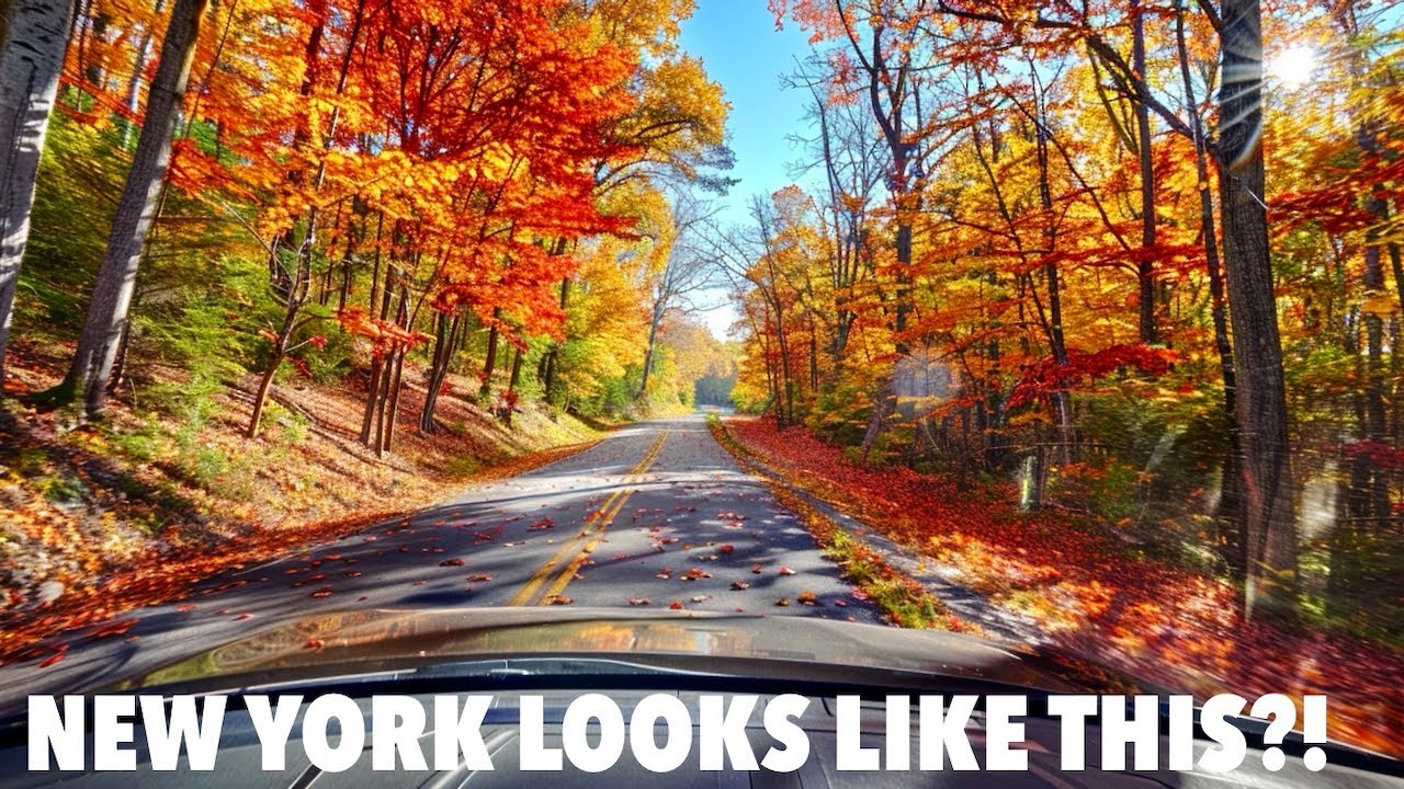 Scenic Fall Drive in Upstate New York 🍁 | Schenectady to Lowville | Peak Autumn Colors POV