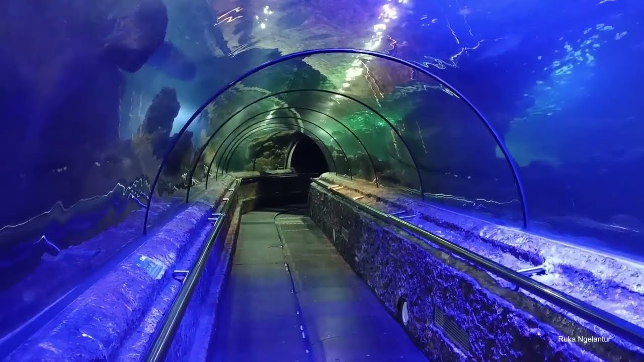 edisi ruka luar kota : Sea World Ancol bagian akir