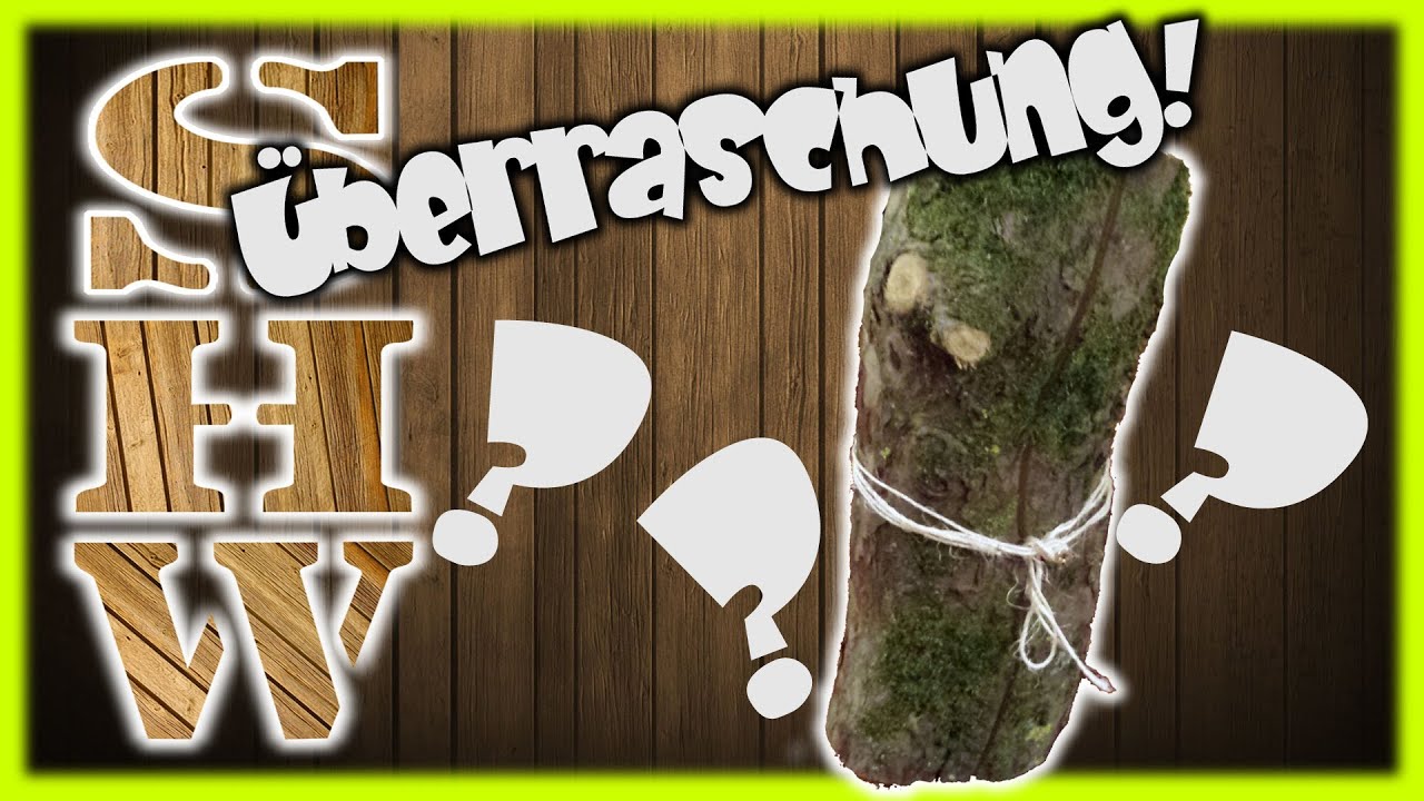 &Uuml;berraschung im Holz - Surprise inside a log