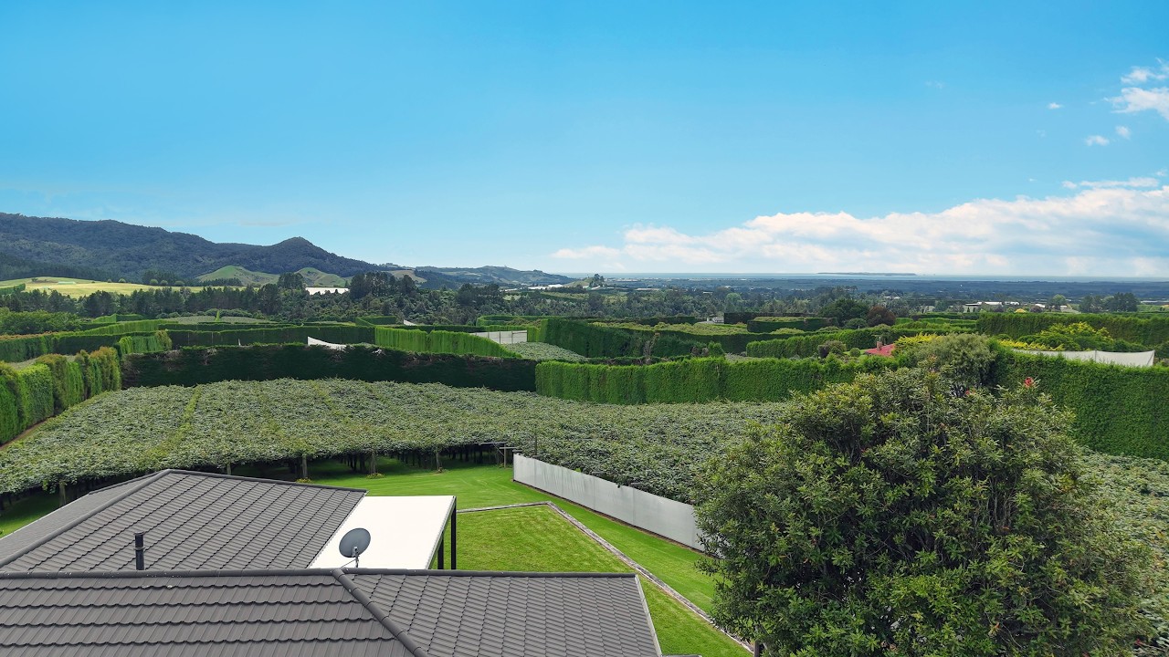 840 No 3 Road, Te Puke - Snow Williams - Bayleys Country Tauranga