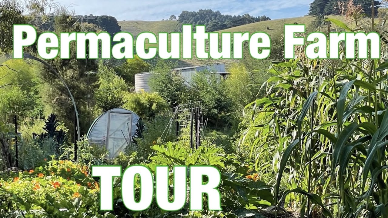 Huttons Valley Permaculture Tour
