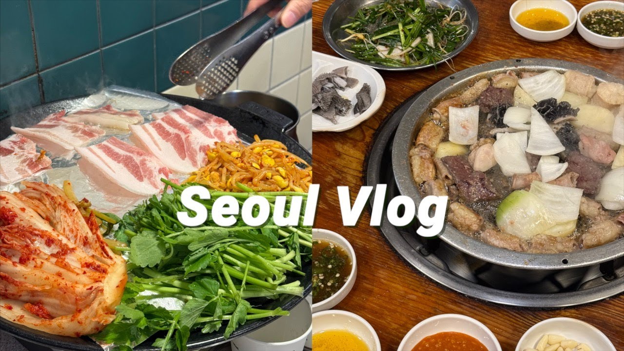 일본남자Vlog🇰🇷최근에 서울에서 먹은 맛있는것들 + 집에서 찌개 끓여먹는 요리 브이로그