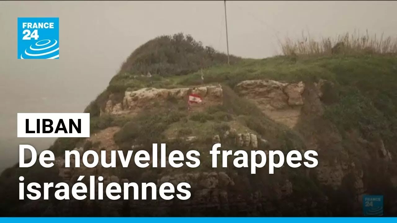 Liban : des frappes israéliennes tuent au moins quatre personnes • FRANCE 24