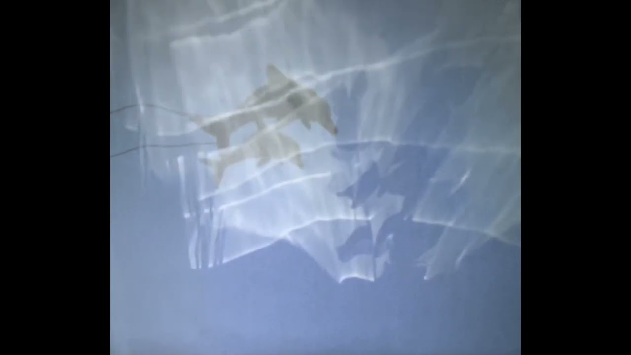 Exploring Seeing: My Movie, Student Group Project