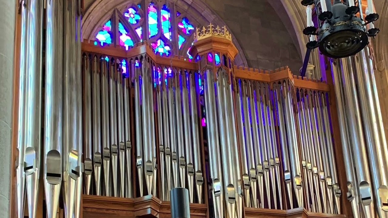 John-Paul Buzard plays Bach's Aus tiefer Not, BWV 686 on the Buzard organ, Opus 7
