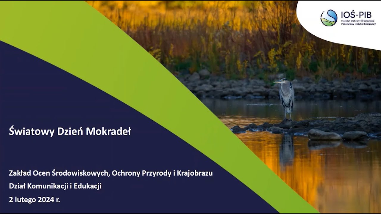 Światowy Dzień Mokradeł w IOŚ-PIB